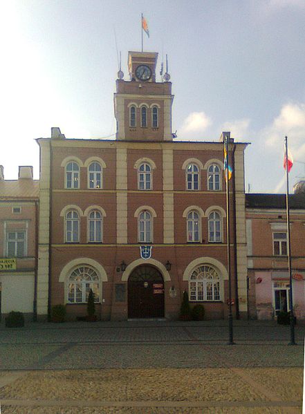 File:Skierniewice - town hall.jpg