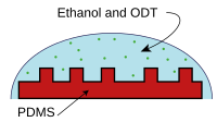 Figure 1 - "Inking" a stamp. PDMS stamp with pattern is placed in Ethanol and ODT (octadecanethiol) solution Soft lithography proc1.svg