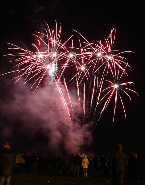 File:Spectators watching fireworks display from Flickr user KSDigital.jpg