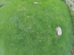 Large irregular stone circle at Stanton Drew south east of Church Farm