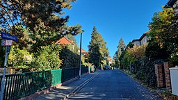 Steinadlerstraße in Dresden