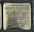 image=https://commons.wikimedia.org/wiki/File:Stolperstein_f%C3%BCr_Helmut_Gansauge,_Am_Anger_10,_Dresden.JPG