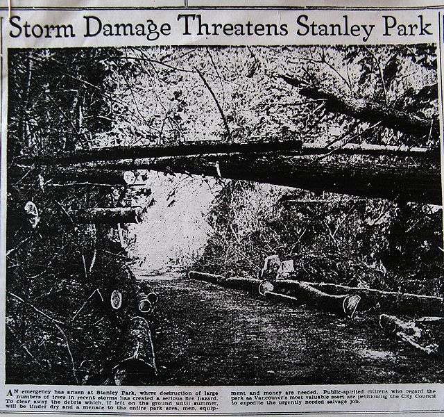 File:StormDamageThreatensSP.jpg