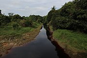 DescriptionExagren/gallery Bahasa Indonesia: Sungai berwarna merah di Kalimantan. Date 27 August 2021 Source Own work Author Ezagren (bicara / talk)