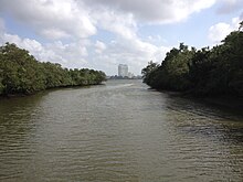 View from the main bridge Sungei Buloh Wetland Reserve Main Bridge View.JPG