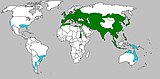 Aire de répartition du Sanglier d'Eurasie