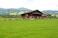 Switzerland-03679 - Local Farm (23568576343).jpg