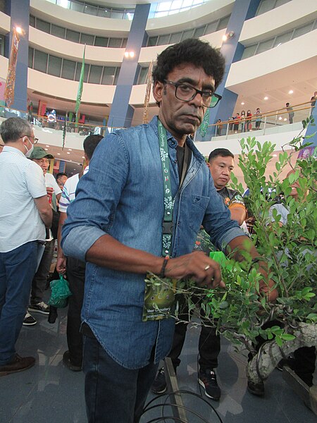 File:The Bonsai artist (Asia Pacific Bonsai and Suiseki Convention) 12.jpg