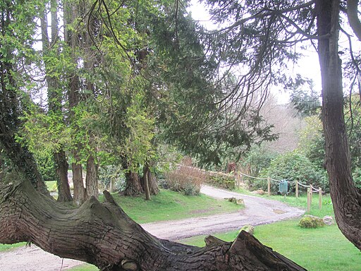 The Footpath to the Stone Bridge at Bovey Castle - geograph.org.uk - 5735907