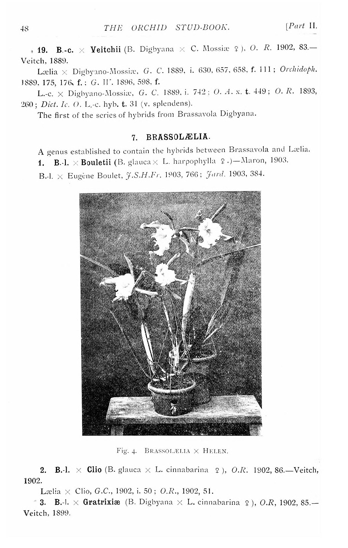 File The Orchid Stud Book An Enumeration Of Hybrid Orchids Of Artificial Origin With Their Parents Raisers Date Of First Flowering References To Descriptions And Figures And Synonymy With An Jpg Wikimedia Commons