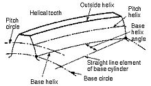 Tooth helix Tooth helix.jpg