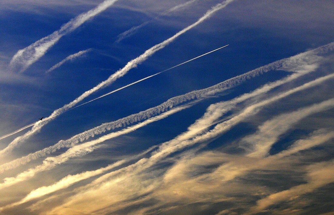 File:Trainée Avion Juin 2006.jpg