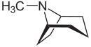 Тропан - Tropane.svg