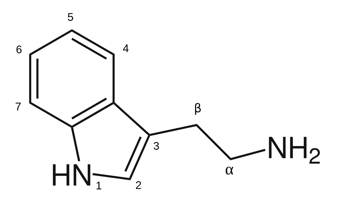 Tryptamine - Wikipedia