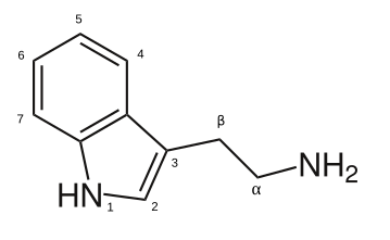 File:Tryptamine structure.svg