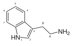 Strukturformel von 2-(3-Indolyl)ethylamin