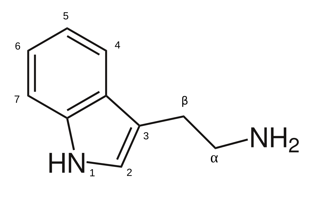 Triptamina