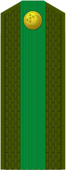 Starşina(Turkmen Ground Forces)[7]