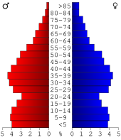 Bevolkingspiramide Bartow County