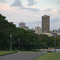 UTS Tower as seen from the University of Sydney