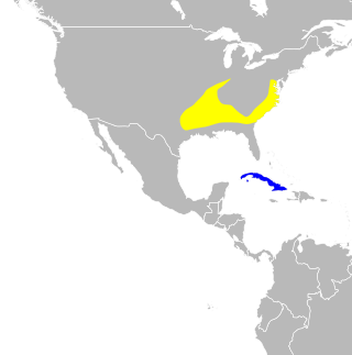 Mapa występowania