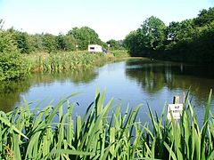 Village Pond, Seamer.jpg