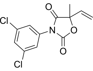 Vinclozolin Common dicarboximide fungicide used to control diseases, such as blights, rots and molds in vineyards, and on fruits and vegetables such as raspberries, lettuce, kiwi, snap beans, and onions.