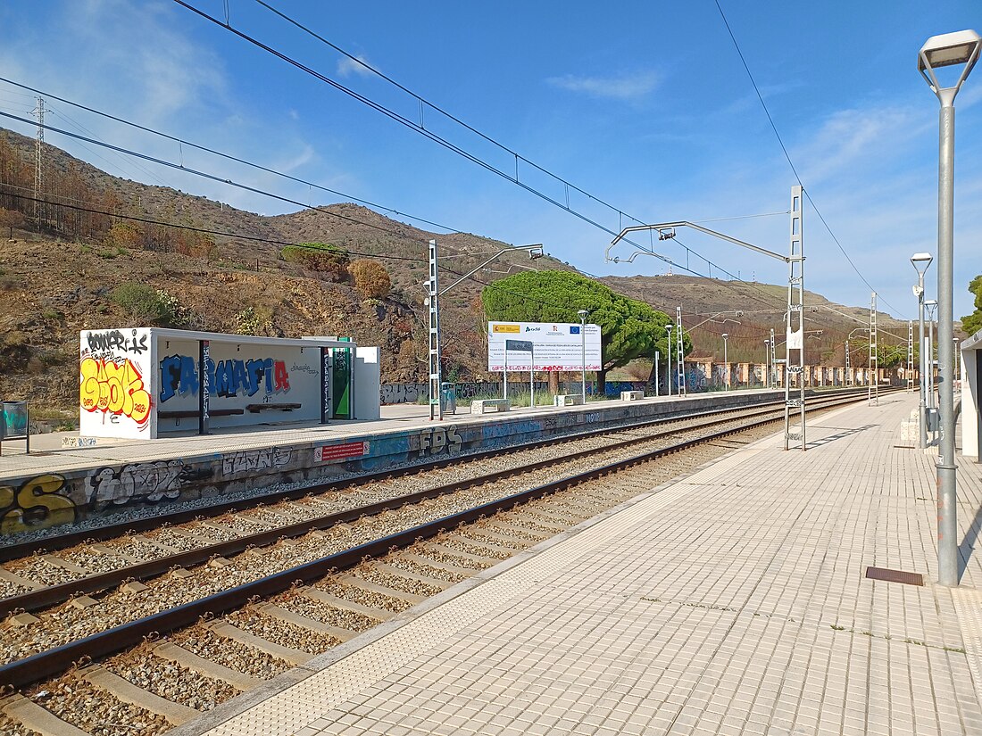 Gare de Colera