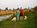 Miniatuurafbeelding voor de versie van 15 jun 2014 17:30