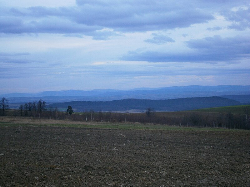 File:Widok z Wielkiej Góry 2.JPG