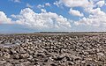 * Nomination Wierum (Northeast-Fryslân), view of the Wadden Sea from the seawall. (swallow fields) --Agnes Monkelbaan 04:34, 3 September 2023 (UTC) * Promotion  Support Good quality. --Johann Jaritz 04:38, 3 September 2023 (UTC)