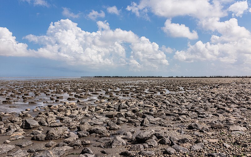 File:Wierum (Noardeast-Fryslân), 10-07-2023. (actm.) 25.jpg