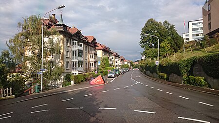 Wildeggstrasse von Westen