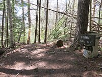 Wilgus State Park Pinnacle Summit.jpg