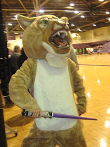 Willy the Wildcat Willythewildcat.JPG