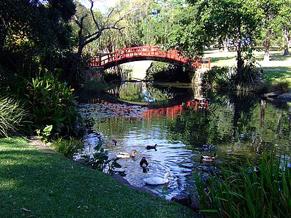 How to get to Wollongong Botanic Gardens with public transport- About the place