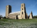 Thumbnail for File:Wymondham Abbey - geograph.org.uk - 675436.jpg