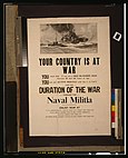 Naval militias in the United States