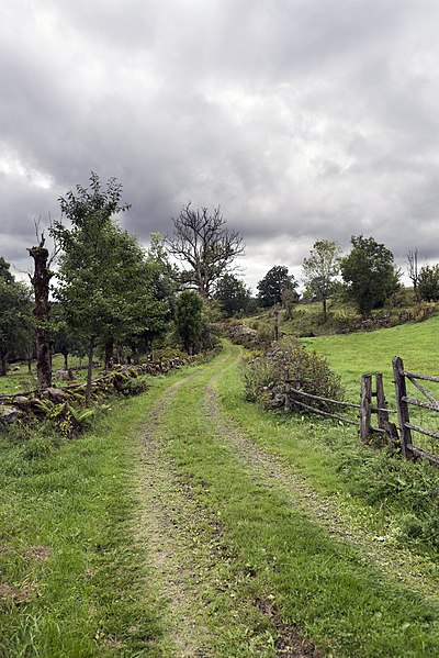 File:Yttea Berg Gällared fägata.jpg