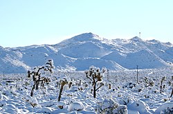 Snow in Yucca Valley, near Joshua Tree National Park