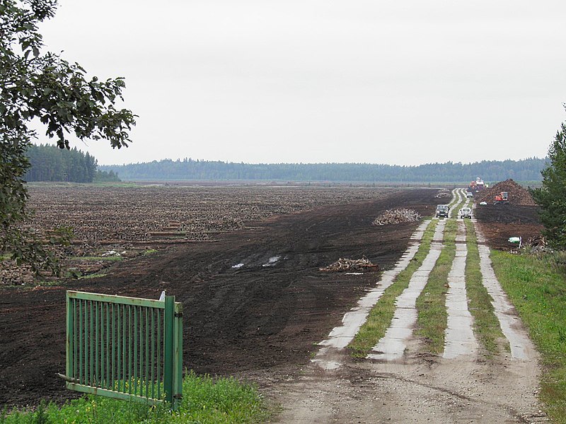 File:Добыча торфа kūdras ieguve - panoramio - Aleksandrs Timofejev….jpg