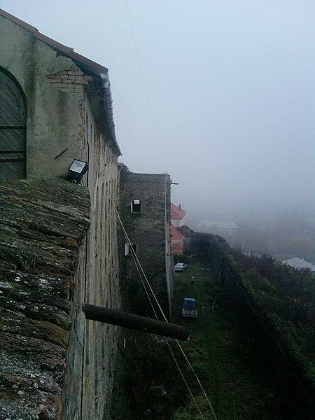 File:Зі стіни замку From the castle wall 22.11.09 - panoramio.jpg