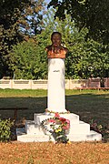 Monument à Taras Chevtchenko de Tesluhiv, classé[3].