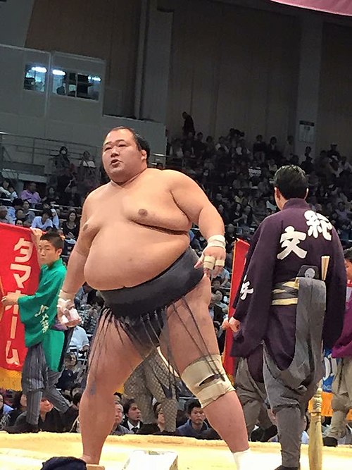 Toyonoshima in 2017