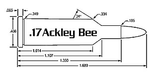 <span class="mw-page-title-main">.17 Ackley Bee</span>