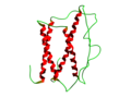 Vignette pour Somatotropine bovine