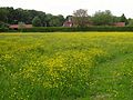 Boerderij Mastlerweg 4 Almen