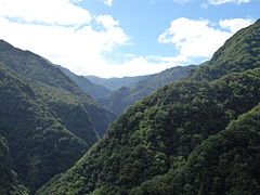Bosque de laurisilva de Madeira