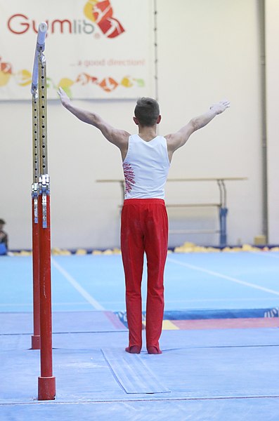 File:2019-11-30 OHC Liberec 2019 MAG Apparatus finals Parallel bars (Martin Rulsch) 103.jpg