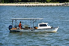 Workboat built in the traditional deadrise design, on Chesapeake Bay. 2021-06-27 01 Chesapeake Bay deadrise workboat used for crabbing.jpg
